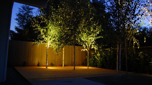 Landscape Lighting